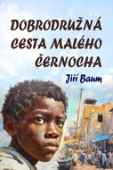 The adventurous journey of a little black man - Ebook
