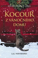 Cat from the Christmas House - Ebook