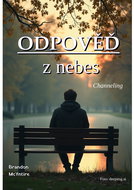 Answer from Heaven - Ebook