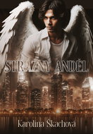 Guardian Angel - Ebook