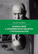 Injections to Irma and interpretive delirium in psychoanalysis - Ebook