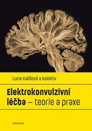 Elektrokonvulzivní léčba - Elektronická kniha
