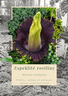 Tangled plants - Ebook