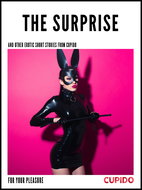 The Surprise - and other erotic short stories - Ebook