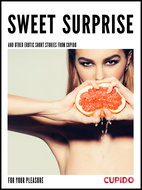 Sweet surprise - and other erotic short stories - Ebook