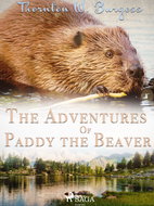 The Adventures of Paddy the Beaver - Ebook