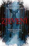 Zjevení - Ebook