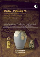 Břeclav – Pohansko XI. - Ebook