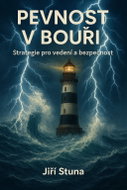 Pevnost v bouři - Ebook