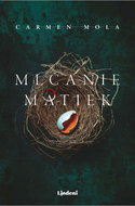 Mlčanie matiek - Ebook