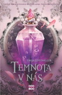 Temnota v nás - Ebook