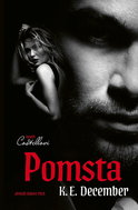 Bratři Costellovi: Pomsta - Ebook