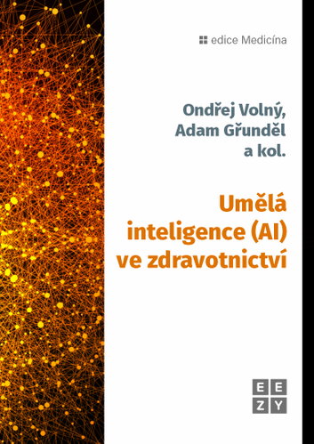 Umělá inteligence (AI) ve zdravotnictví - Ebook - Hauptbild