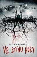 In the shadow of the mountain - Ebook