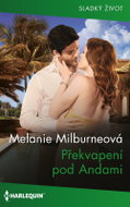 Surprise under the Andes - Ebook