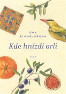 Kde hnízdí orli - Ebook