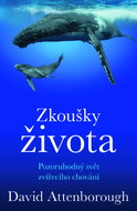 Zkoušky života - Ebook