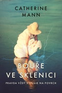 Bouře ve sklenici - Ebook