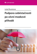 Podpora soběstačnosti po cévní mozkové příhodě - Ebook