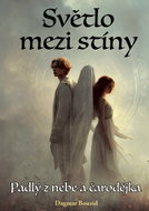 Světlo mezi stíny - Ebook