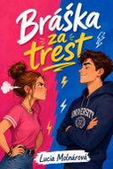Bráška za trest - Ebook