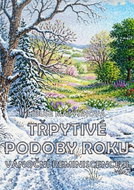 Třpytivé podoby roku / Vánoční reminiscence II - Ebook