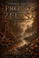Proudy želesa - Ebook