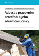 Azbest v pracovním prostředí a jeho zdravotní účinky - Ebook