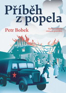 Příběh z popela - Ebook