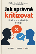 Jak správně kritizovat - Ebook