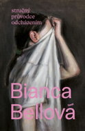 Stručný průvodce odcházením - Ebook