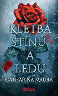 Kletba stínů a ledu - Ebook
