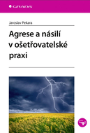 Agrese a násilí v ošetřovatelské praxi - Ebook