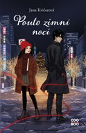 Pouto zimní noci - Ebook