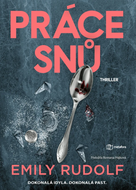 Práce snů - Ebook
