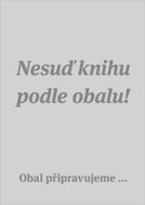 Mluvnice současné češtiny 2 - Ebook