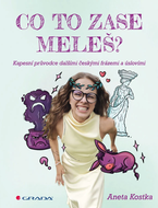 Co to zase meleš? - Ebook