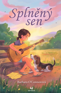 Splněný sen - Ebook