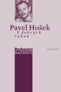 V dobrých rukou - Elektronická kniha