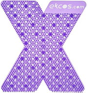 Ekcos Xcrën HD - 60+ day biodegradable anti-splash urinal strainer, berry scent, 2 pcs - Urinal Freshener