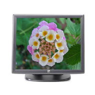 19" ELO 1915L tmavě šedý - LCD Monitor