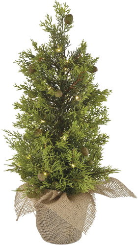 EMOS LED leuchtender Baum, 50 cm, für innen und außen, warmweiß, Timer - Weihnachtsbeleuchtung - Hauptbild
