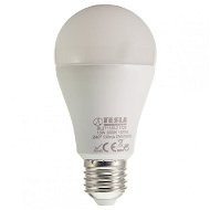 TESLA LED 13W E27 - LED Bulb