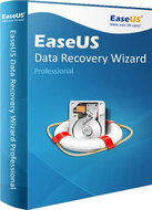  EASEUS Data Recovery Wizard Standard  - Electronic License