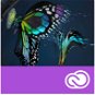 Adobe Premiere Pro Creative Cloud MP team ENG Commercial (12 Monate) (elektronische Lizenz) - Grafiksoftware
