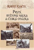 První světová válka a česká otázka - Ebook