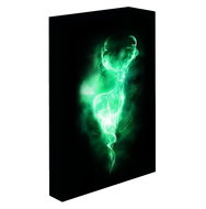 Harry Potter - Patron, 30 × 40 cm - LED illuminated painting - Painting