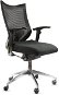 Irodai szék SPINERGO Office fekete - Kancelářská židle