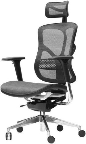 Spinergo Business Grey - Office Chair - Main image