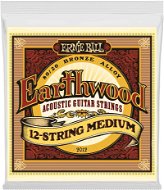 Ernie Ball 2012 .011-.052 12 Strings - Húr